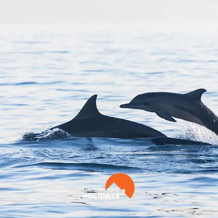 #065 Zulmira Flat By Holidays Appartement *